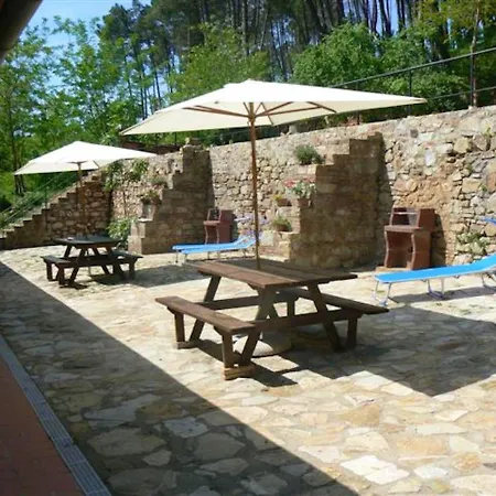 Charming In With Shared Pool. Apartment